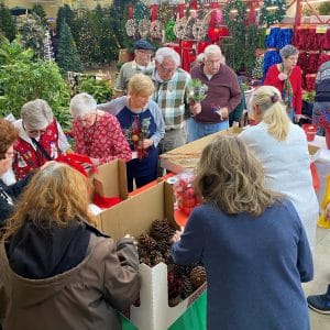 A group of elderly people and volunteers sorting pinecones outdoors.