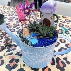 Miniature garden with succulents in a blue watering can.