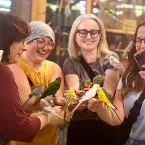 A group of friends laughing while holding colorful birds on their hands.