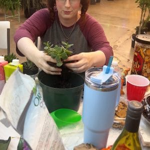 Person repotting a succulent plant indoors with gardening supplies around.