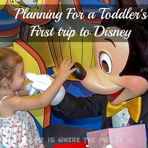 Planning for a toddler's first trip to Disney | Home is Where the Mouse is