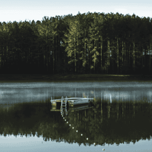 Digital Detox Travel Guide for a Tech Free Sunday