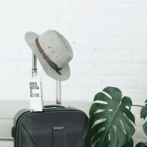 Carbon Neutral Travel Tips for 2026
