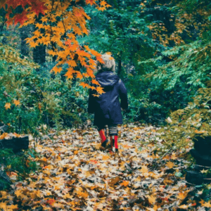 Travel Safety Tips for Fall Adventures You Need