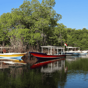 Best Places to Travel from Kolkata for Weekends