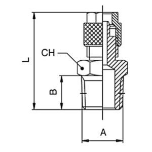 Acessório Esmagamento Direito Macho