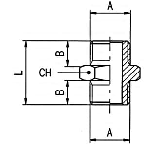 Casquilho Direito Macho/Macho Standard Latão
