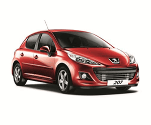 Peugeot 207 Sandık Motor