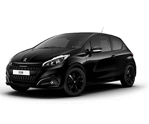 Peugeot 208 Sandık Motor