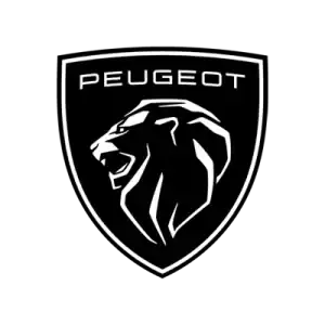 Peugeot Sandık Motor