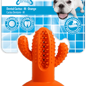 AFP Dental Chews - Dental Cactus M Oranje