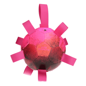 Dog Comets Hypernova Roze