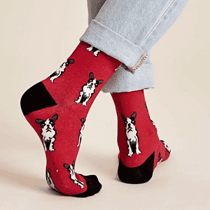 Calcetines rojos bulldog frances