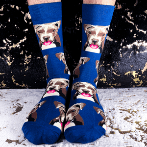 Caletines Pit Bull Fondo Azul