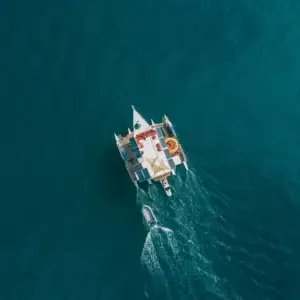 Island Tours