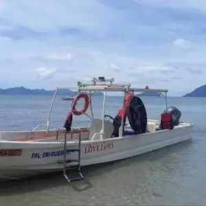 VIP SPEED BOAT