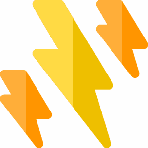 Lightning Platform Professional Services