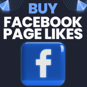Facebook Page Likes smm panel