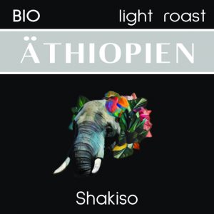 Äthiopien | Kayon Mountain