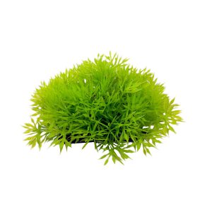 Aquarium Cover Plant 4.5 Inch Wide by 2 Inch Tall