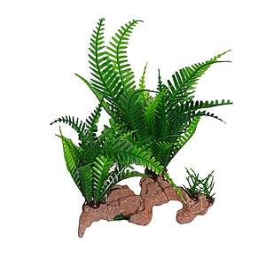 Fern Plant On Artificial Wood