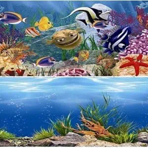 Aquarium Background