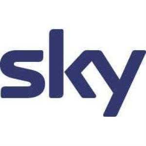 Guerra delle tv, ecco i segreti I record di Sky. Ma Mediaset e Rai... | Digitale terrestre: Dtti.it