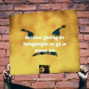 Asociaal gedrag en Spiegelogie, op de foto een doek met een boze smiley, een bakstenen muur op de achtergrond