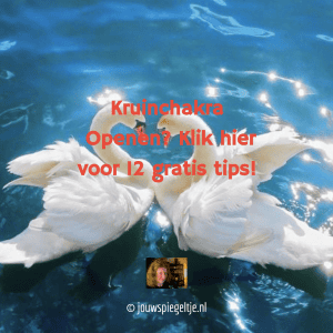 je kruinchakra openen wordt gesymboliseerd door deze twee mooie zwanen die elkaar met de kop bijna aanraken