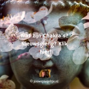 wat zijn chakra's en hoe beïnvloeden ze ons leven? Wat zijn de functies van onze 7 basischakra's? Op de foto het hoofd van een Boeddha met prachtige roze bloesem eromheen en de titel van dit artikel erop gedrukt