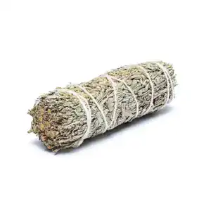 Smudge di Salvia Shasta o Salvia Blu