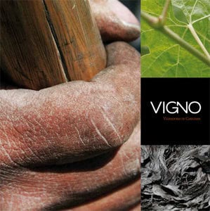 vigno_logo.jpg