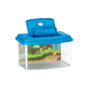 Acquario valigetta con coperchio