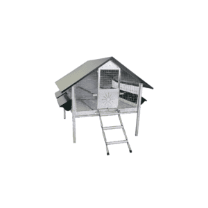 Pollaio da esterno ingrasso