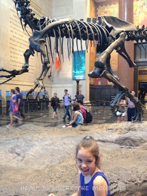 Bella giving us her best dinosaur face Bella giving us her best dinosaur face