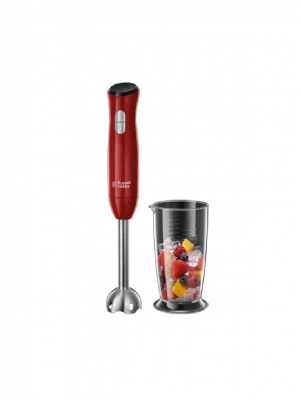 Mixeur Plongeant Desire