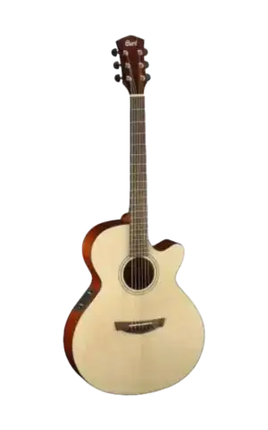 Cort SFX 1F NS Rosewood Fingerboard