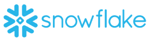 Snowflake Partner