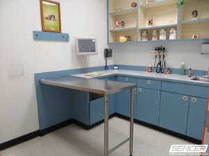 Veterinary exam room with a stainless steel treatment table, a diagnostic wall unit, and cabinetry, equipment valued in a veterinary equipment appraisal.