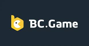 Understanding BC.CO Withdrawal Methods