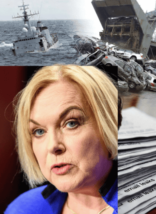 Judith Collins, LawFuel