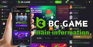 Exploring the Exciting World of BC.Game Casino