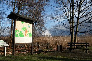 Märkischer Bote Ausflug zum künftigen Cottbuser Ostsee
