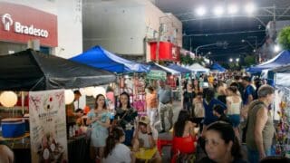 Feira do Empreendedor e Economia Criativa em Promissão Reúne Mais de 80 Comerciantes e Grande Público na Avenida Pedro de Toledo