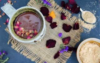 lion's mane hot chocolate oat drink