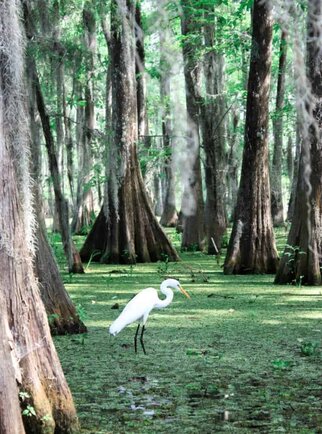 Louisiana.