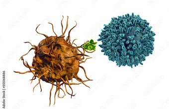 CD4