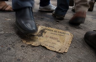 Pule de corrida de cavalo