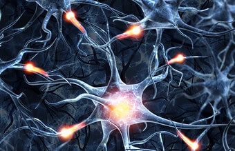 Ilustração tridimensional de neurônios interligados por sinapses, representando o sistema nervoso e a transmissão de impulsos nervosos, utilizada para explicar neuropatias e doenças neurológicas.