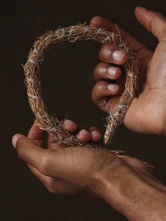 5 Tiges de Vétiver – L’Élixir Naturel du Bien-Être